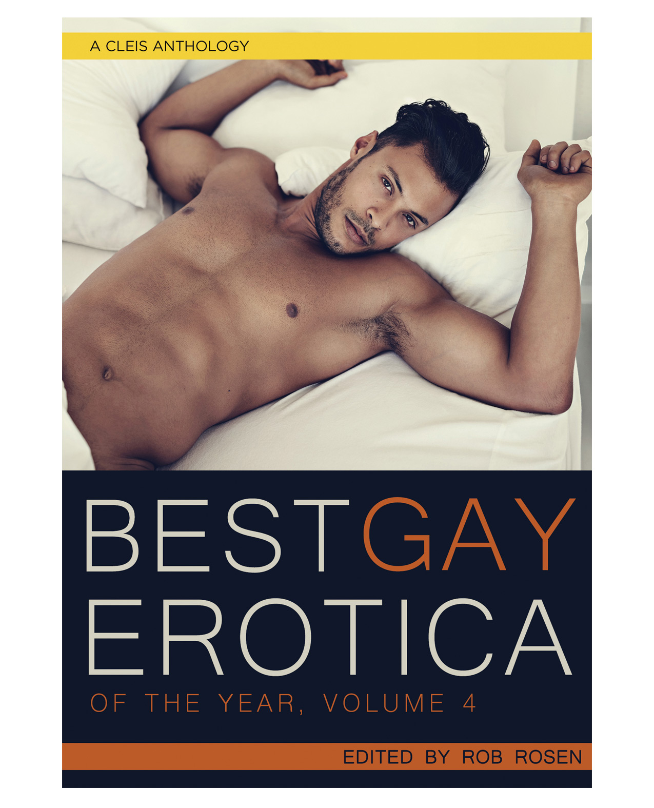 (ebook) Best Gay Erotica Of The Year
